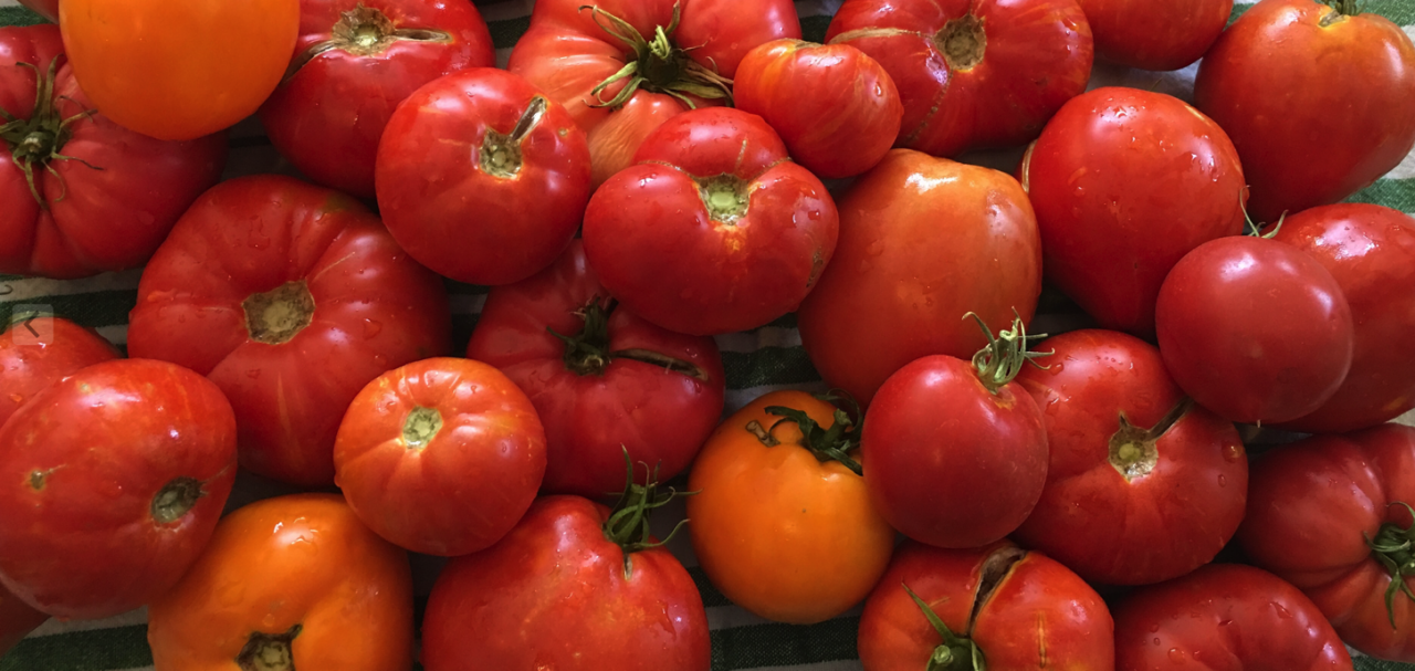 10 Heirloom Tomato Recipes for the Fall Harvest