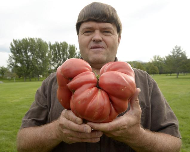 Dale Thurber giant almost 4 lb tomato