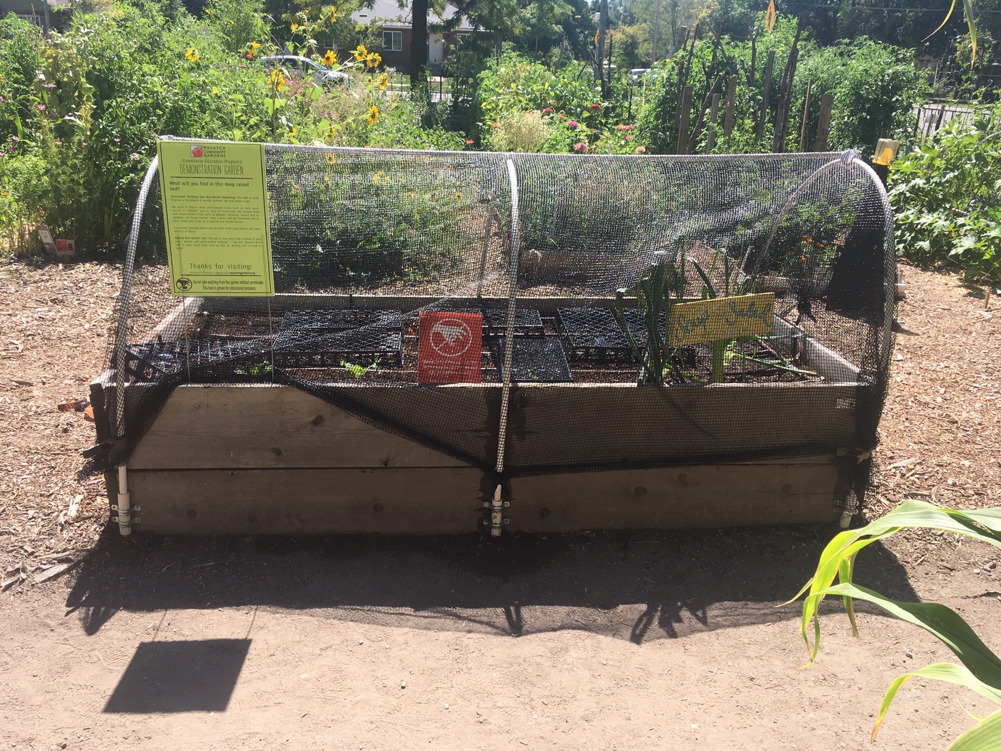 Hoop House with shade cloth