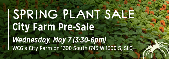 SPS Pre Sale v2