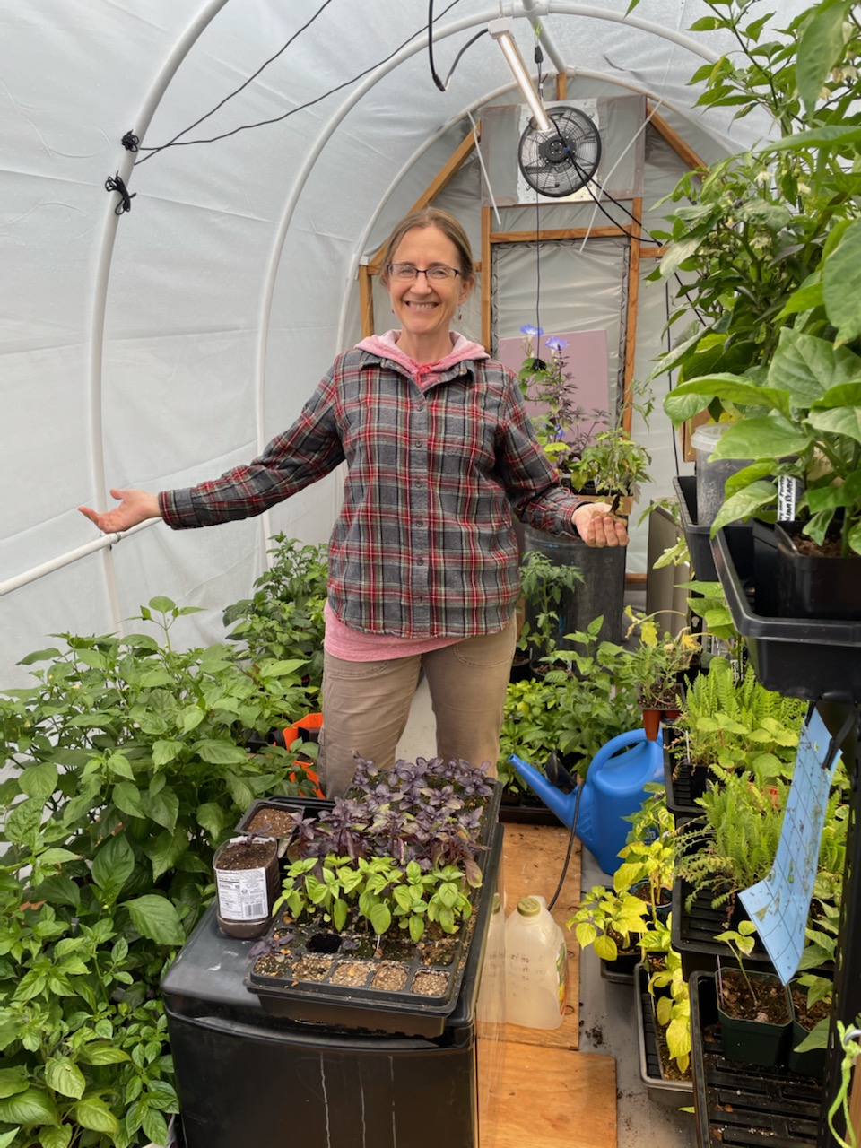 EDP ShirleySteinmacherGreenhouse