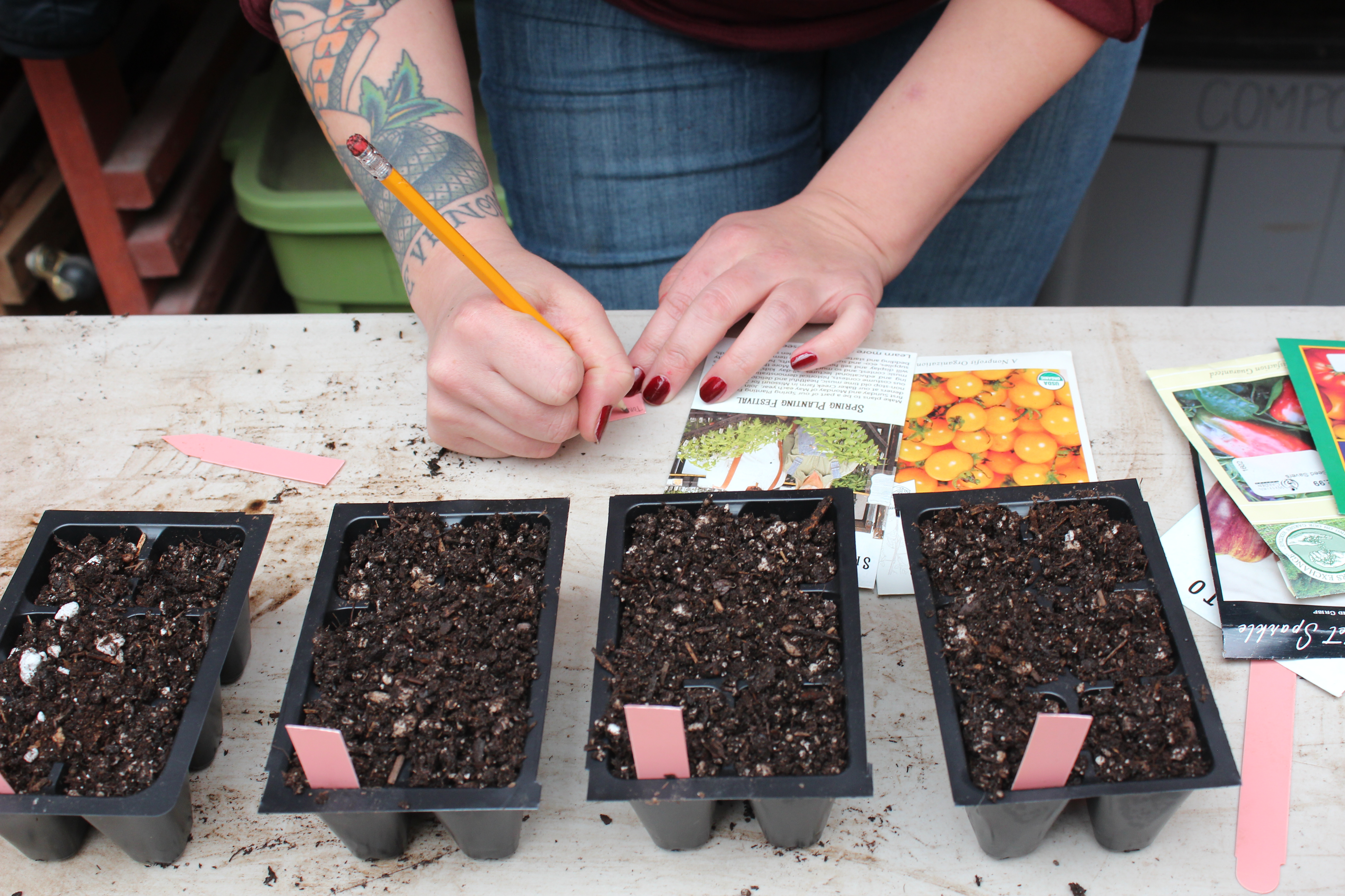 Students in greenhouse filing up pots with soil and planting seeds