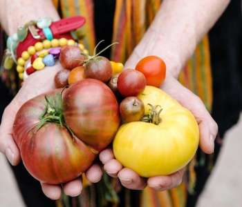 Wasatch Community Gardens - Community Gardens Program Overview