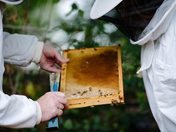 Wasatch Community Gardens - Grow Your Food Resources