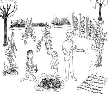 Wasatch Community Gardens - Grow Your Food Resources