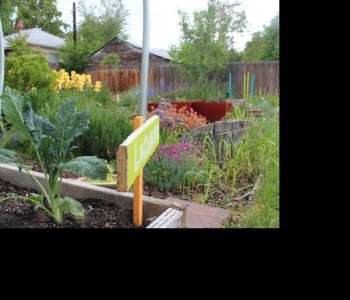 Wasatch Community Gardens - Grow Your Food Resources