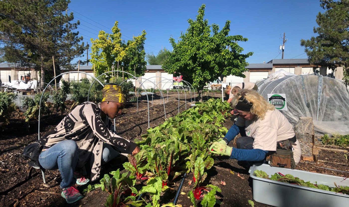 Wasatch Community Gardens - Join the Green Team
