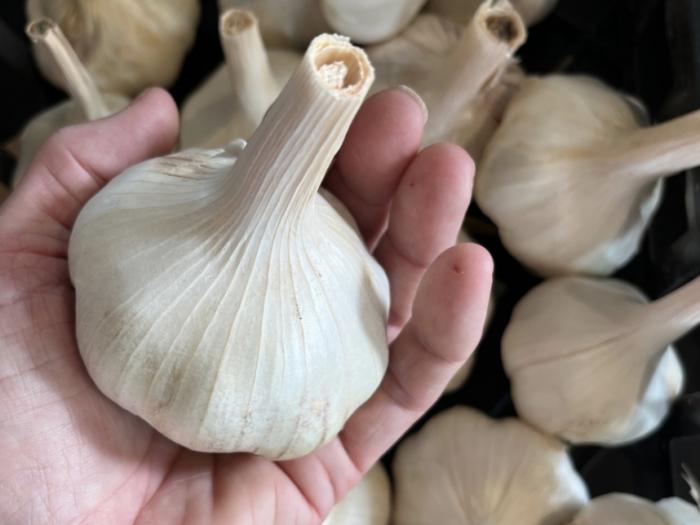 Wasatch Community Gardens - Grow Your Food Resources