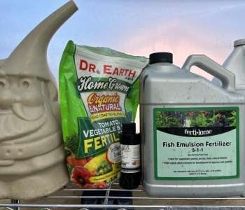 Wasatch Community Gardens - Grow Your Food Resources