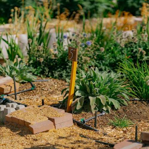 Wasatch Community Gardens - Home