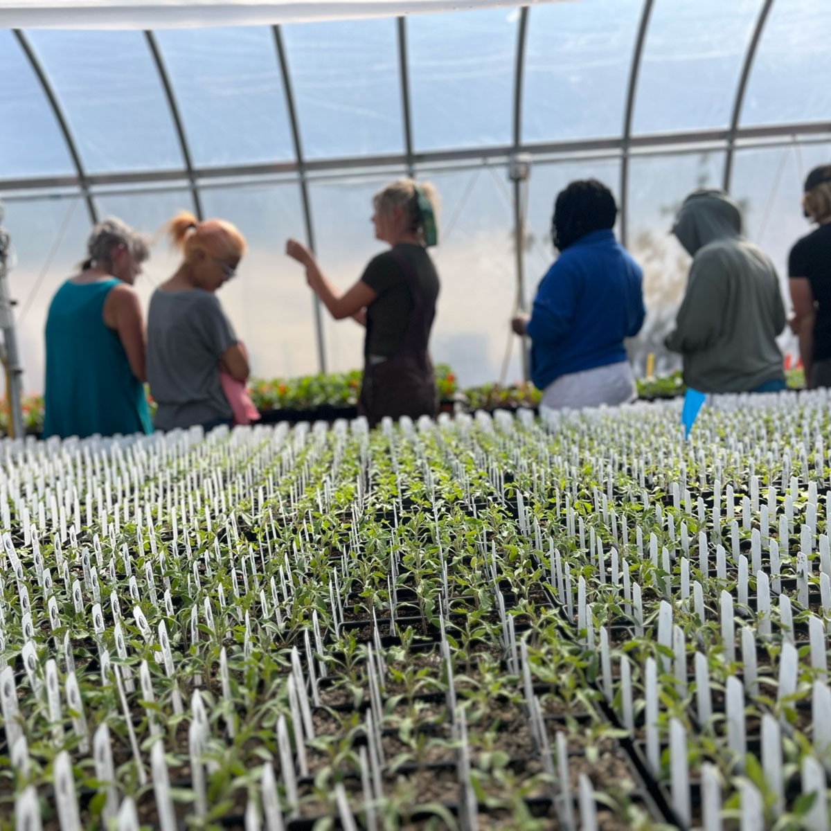 Wasatch Community Gardens - Farm Incubator Program