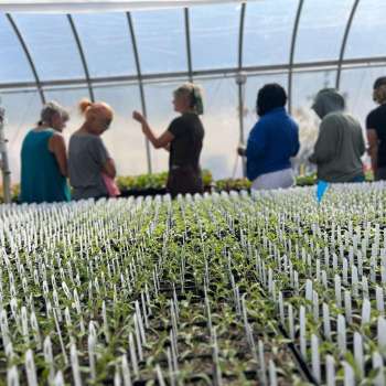 Farm Incubator Program Farm Incubator Program
