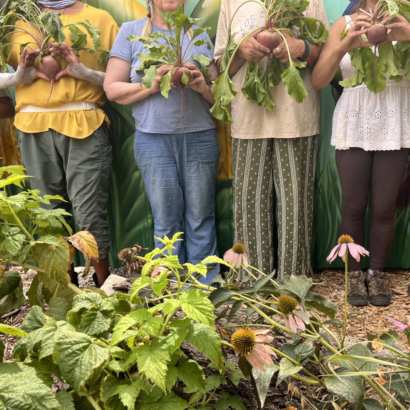 Wasatch Community Gardens - Help Secure Funding for Our Farm-Based Job Training Program - Write to Salt Lake City Council!