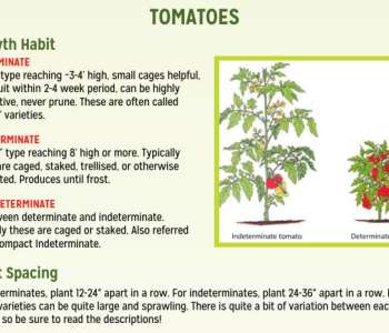 Wasatch Community Gardens - Grow Your Food Resources