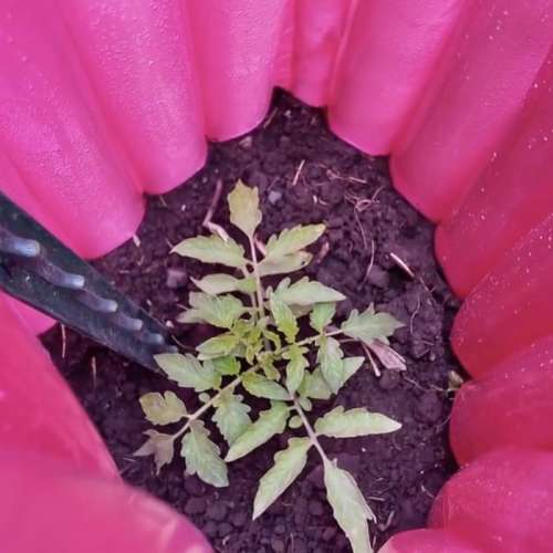 Wasatch Community Gardens - Home
