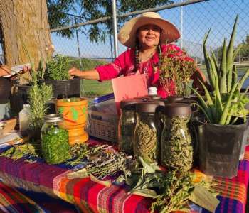 Wasatch Community Gardens - Advocacy & Justice Program Overview
