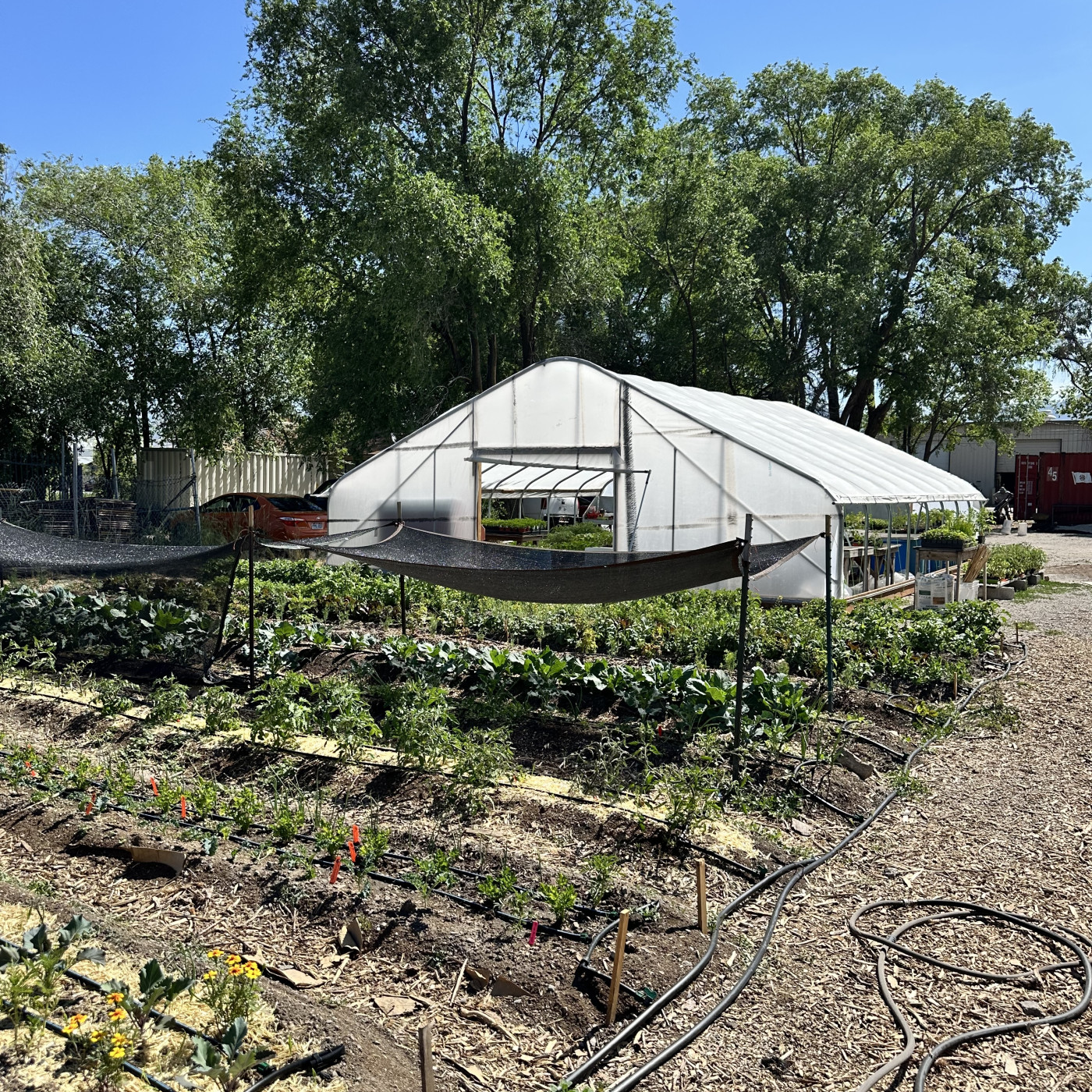 Wasatch Community Gardens - Grateful Greens Urban Farm