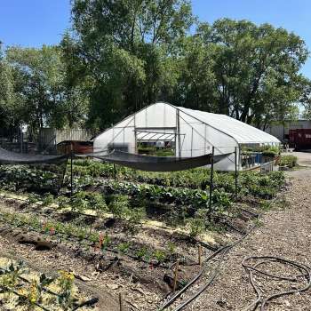 Wasatch Community Gardens - FIGS Growers