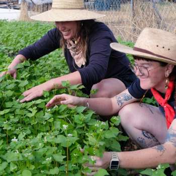 Wasatch Community Gardens - FIGS Growers