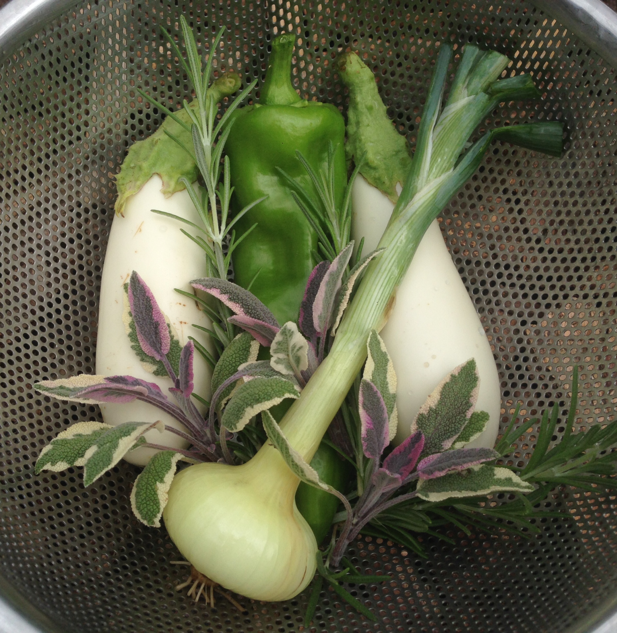 Seasonal summer garden cooking classes offered by Wasatch Community Gardens