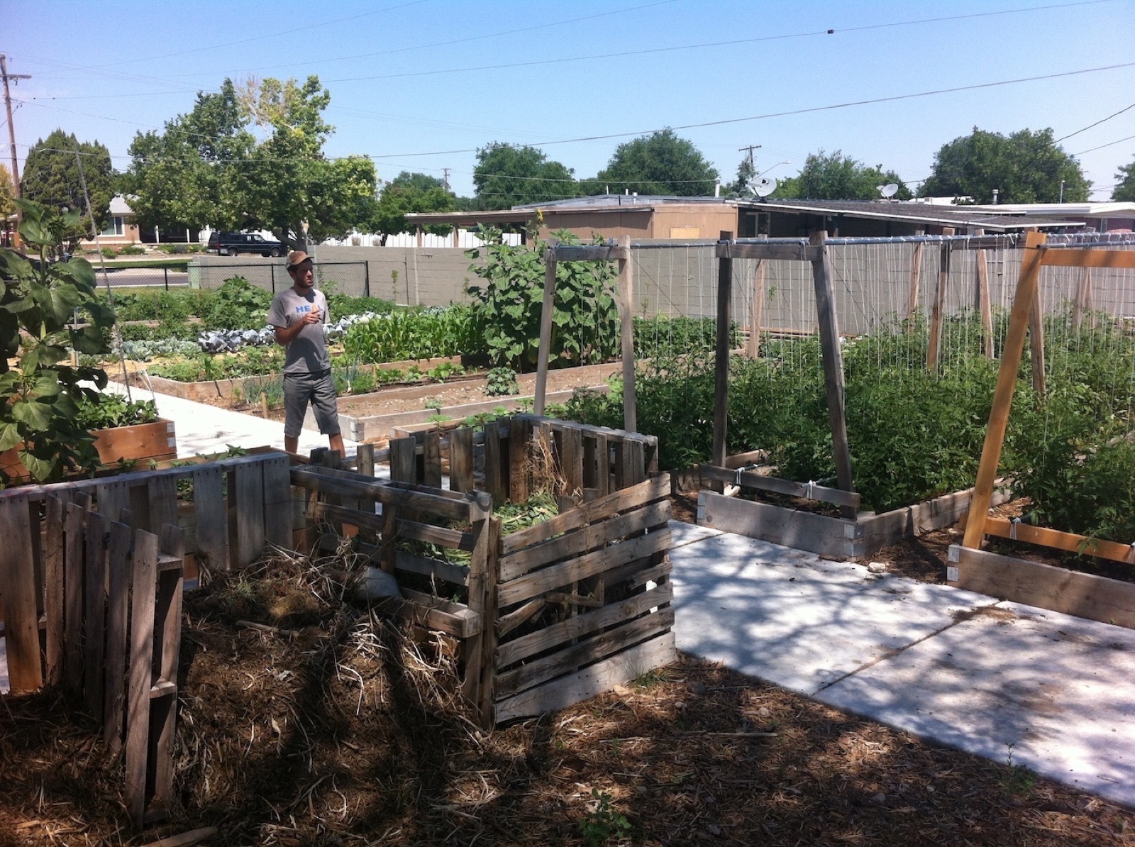 Wasatch Community Gardens - Vegetable Mining Operation Community Garden