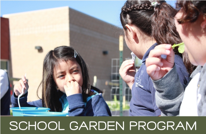 Wasatch Community Gardens - Food Safety
