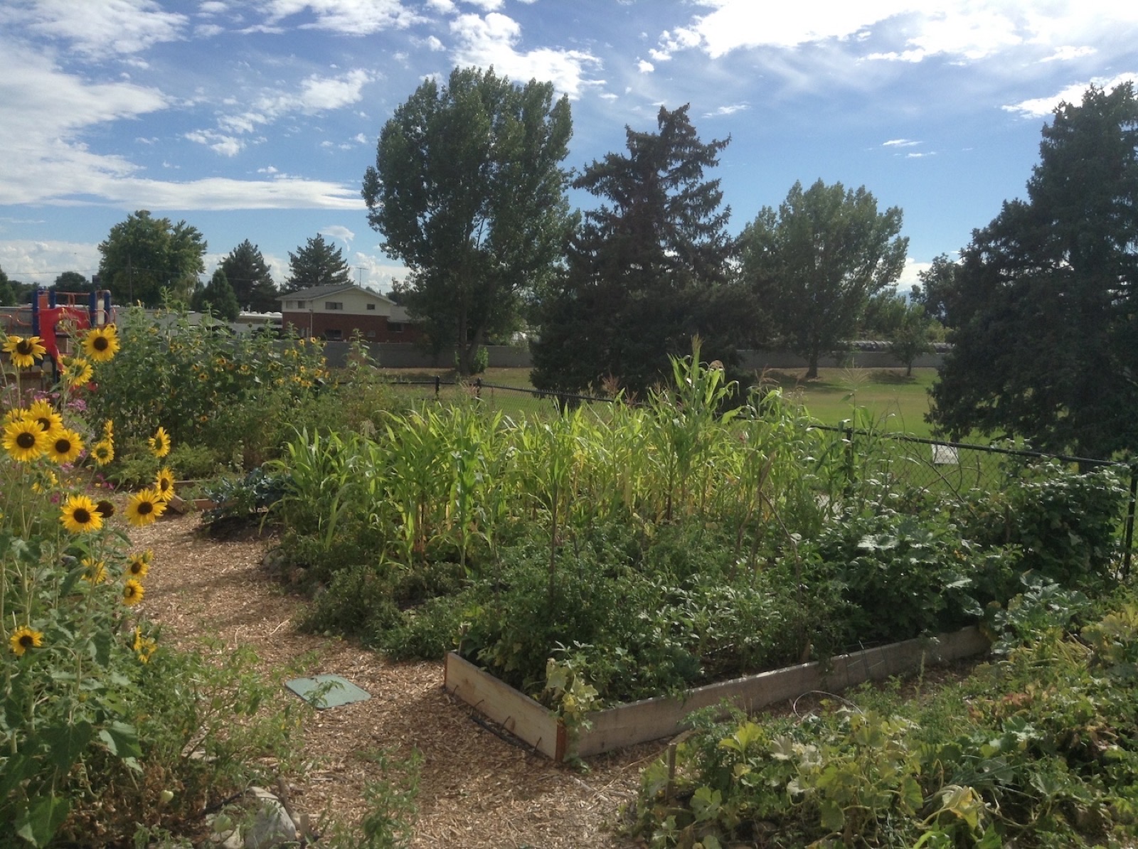 Wasatch Community Gardens - Creekside Community Garden