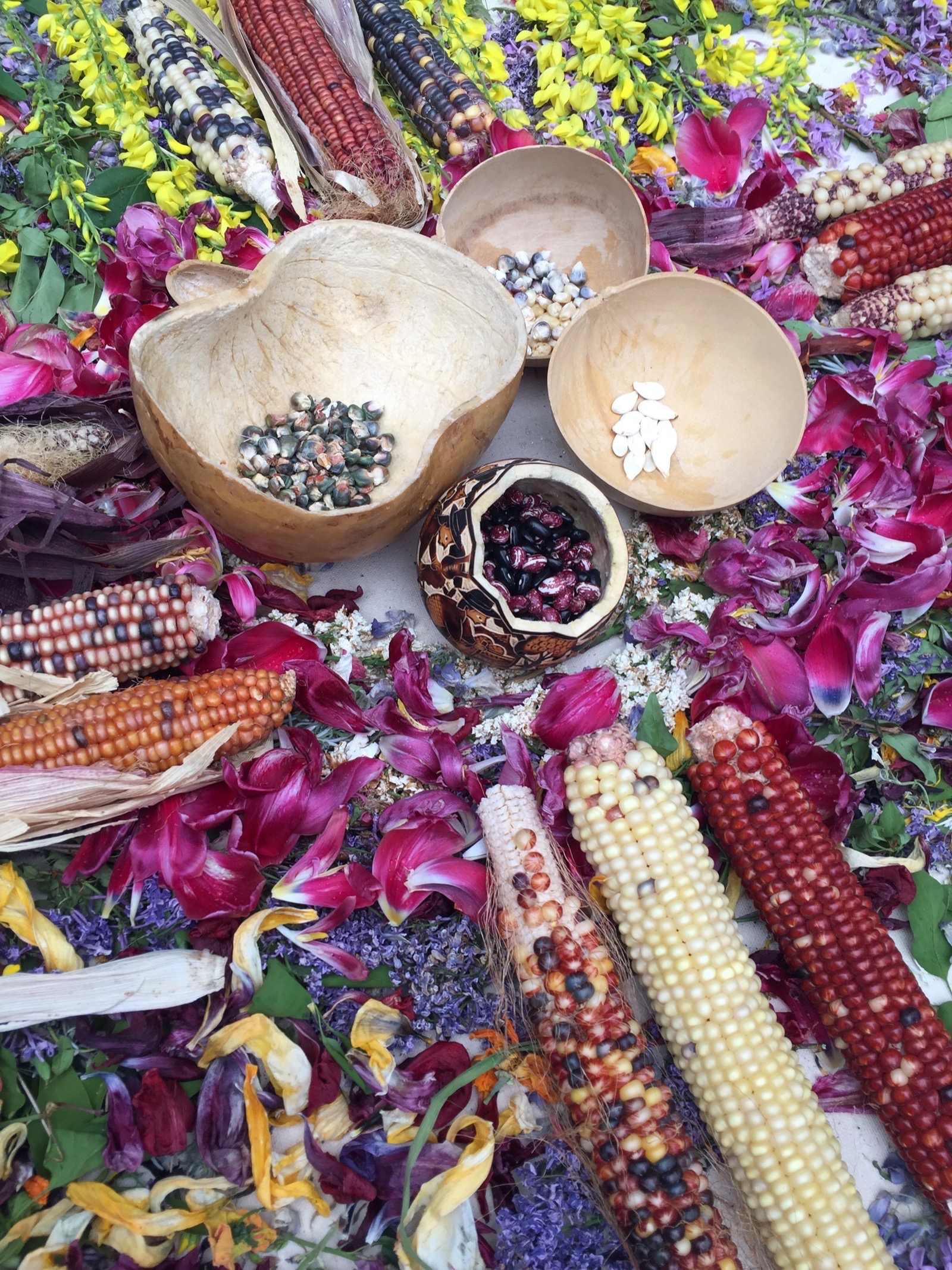 Wasatch Community Gardens - Veronica Perez Artist Statement