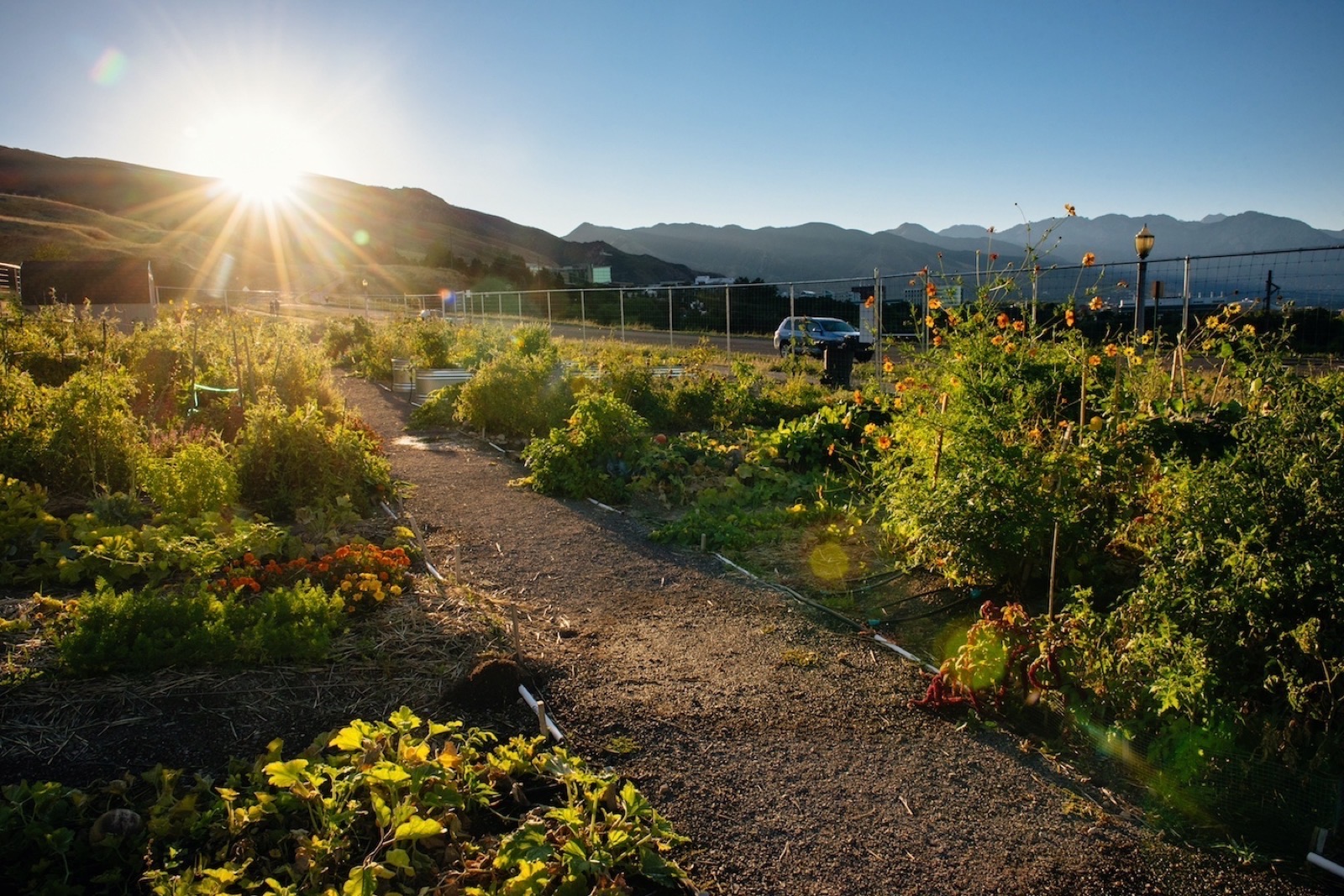 Wasatch Community Gardens - Popperton Plots Community Garden