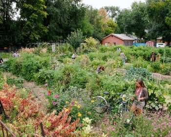Wasatch Community Gardens - Community Gardens