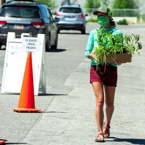 Wasatch Community Gardens - Newsroom