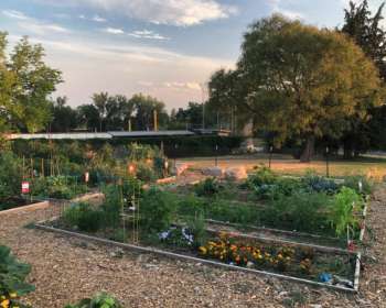 Wasatch Community Gardens - Community Gardens