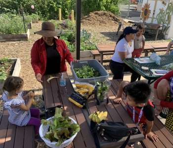 Wasatch Community Gardens - Youth & School Program Overview