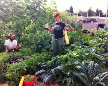 Wasatch Community Gardens - Community Gardens