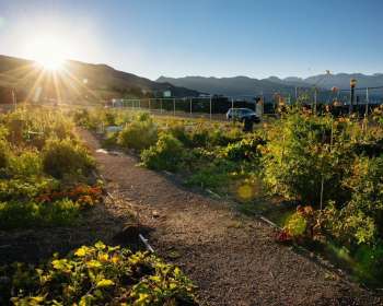 Wasatch Community Gardens - Community Gardens