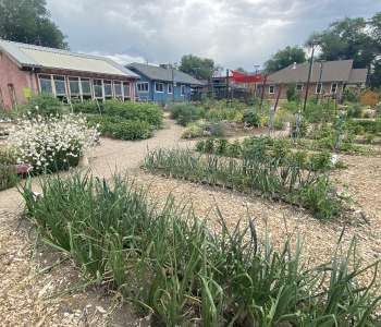 Wasatch Community Gardens - Adult Education Program Overview