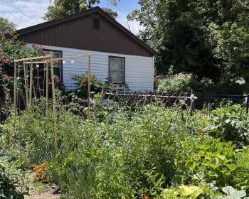 Wasatch Community Gardens - Community Gardens