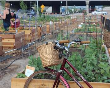 Wasatch Community Gardens - Community Gardens