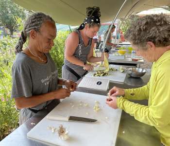 Wasatch Community Gardens - Program Overview - Job Training