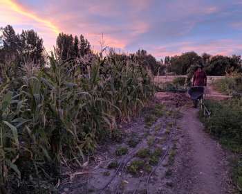 Wasatch Community Gardens - Community Gardens