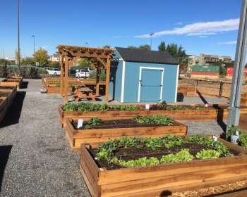 Wasatch Community Gardens - Community Gardens
