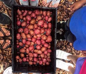 Wasatch Community Gardens - Youth & School Program Overview