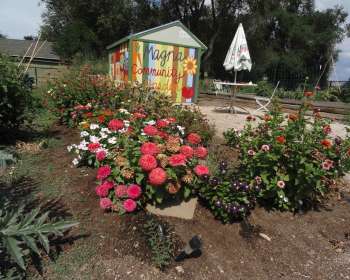 Wasatch Community Gardens - Community Gardens