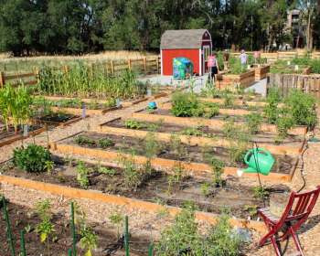 Wasatch Community Gardens - Community Gardens