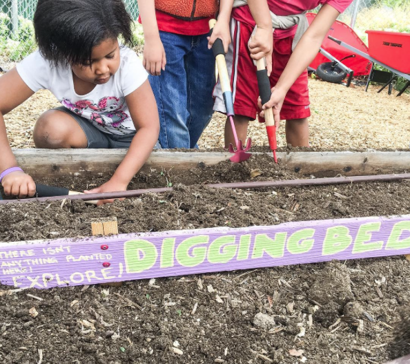 digging bed