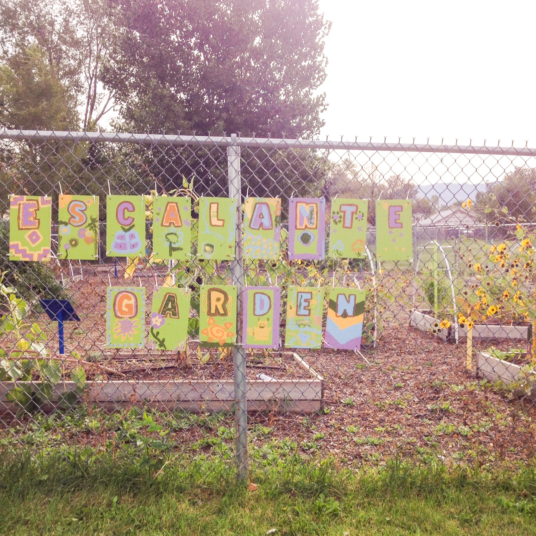 School Garden Signs