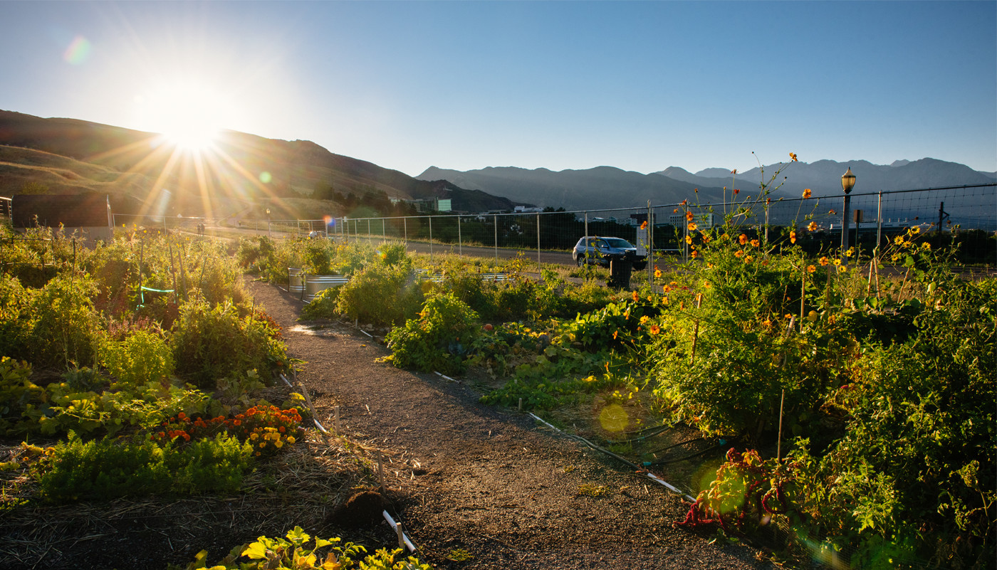 Wasatch Community Gardens Salt Lake City, Utah Home