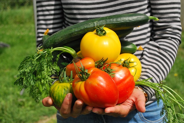 vegetables gardener