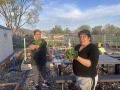 54B12EE5-FA30-444C-BCCB-865F5A7602C1_original