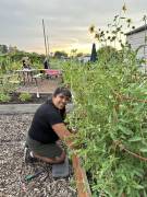 Yolanda_Valle_original